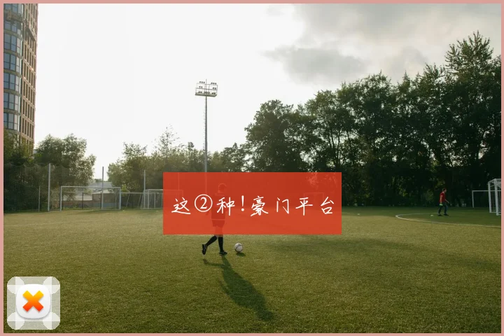 这②种!豪门平台