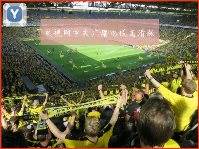 央视网中央广播电视高清版