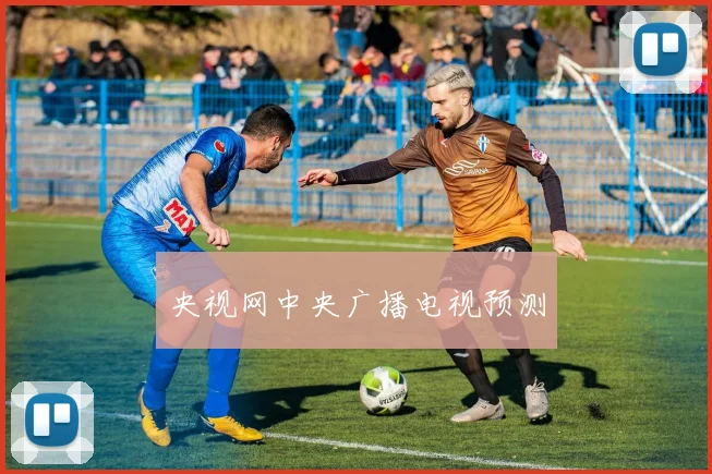 央视网中央广播电视预测