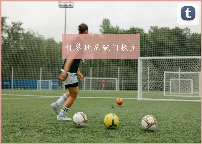 什琴斯尼破门救主