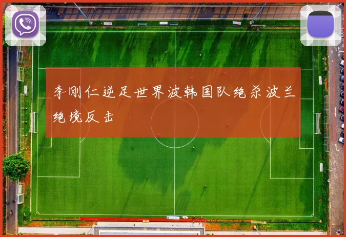 李刚仁逆足世界波韩国队绝杀波兰绝境反击