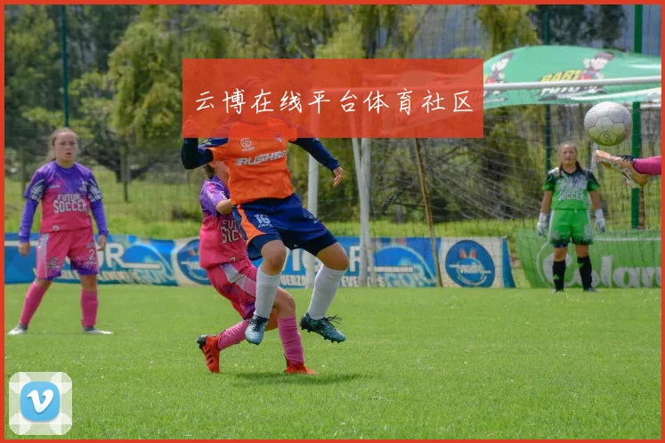 云博在线平台体育社区