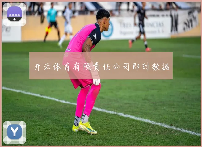 开云体育有限责任公司即时数据
