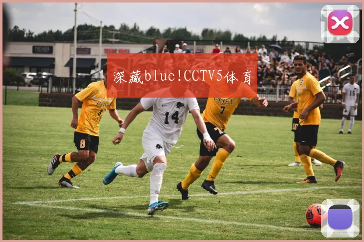 深藏blue!CCTV5体育
