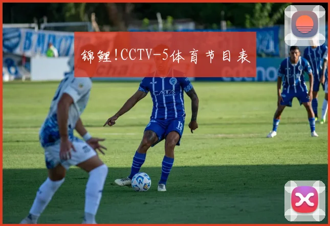 锦鲤!CCTV-5体育节目表