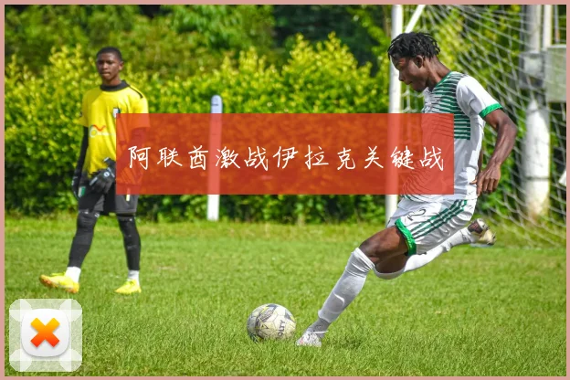 阿联酋激战伊拉克关键战