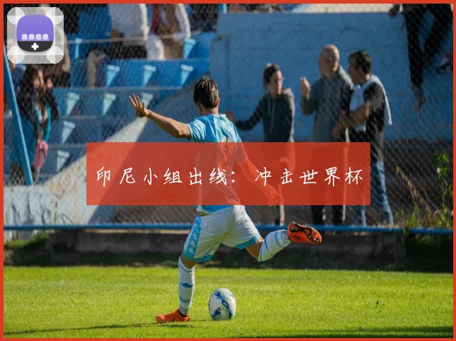 印尼小组出线：冲击世界杯