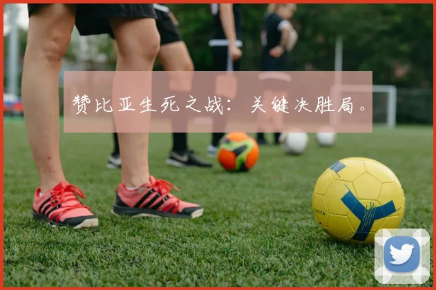 赞比亚生死之战：关键决胜局。