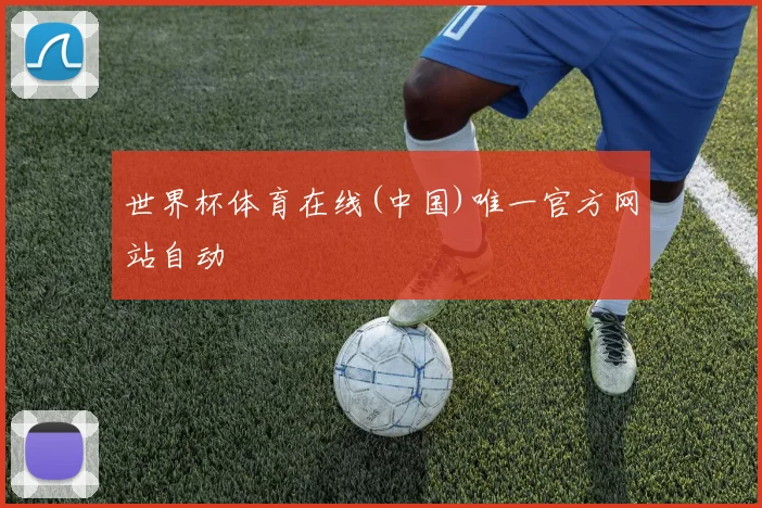 世界杯体育在线(中国)唯一官方网站自动