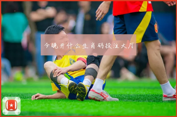 今晚开什么生肖码投注大厅