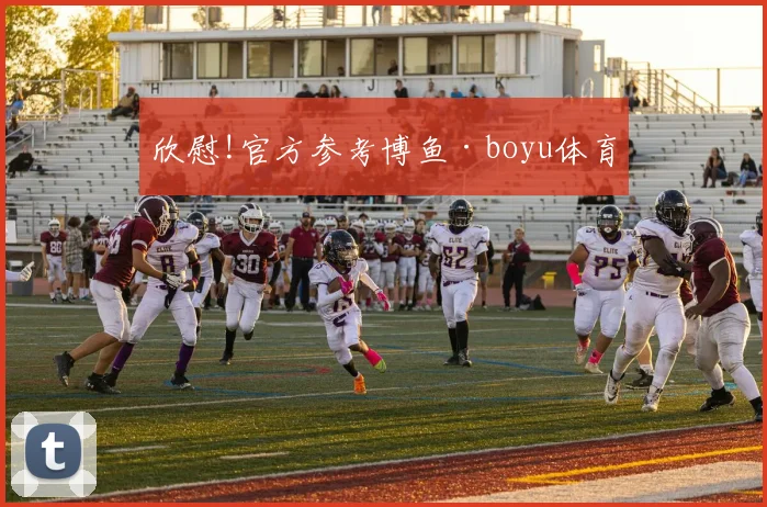 欣慰!官方参考博鱼·boyu体育