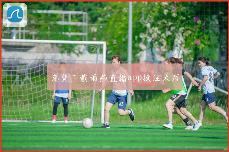 免费下载雨燕直播app投注大厅