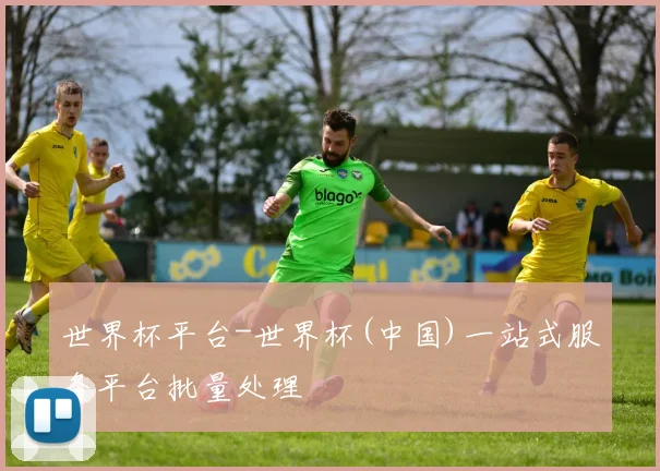 世界杯平台-世界杯(中国)一站式服务平台批量处理
