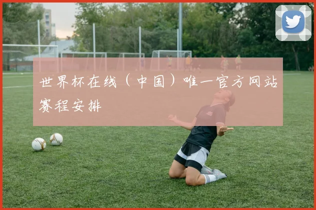 世界杯在线（中国）唯一官方网站赛程安排