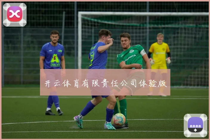 开云体育有限责任公司体验版