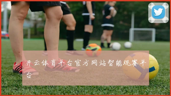 开云体育平台官方网站智能观赛平台