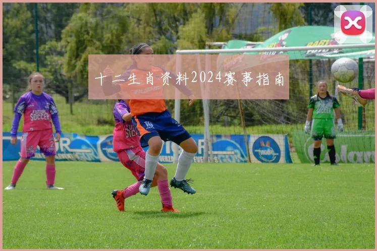 十二生肖资料2024赛事指南