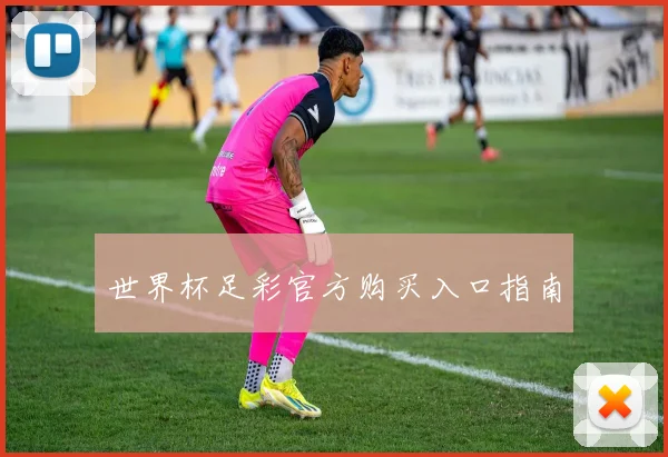 世界杯足彩官方购买入口指南