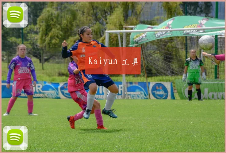 Kaiyun 工具