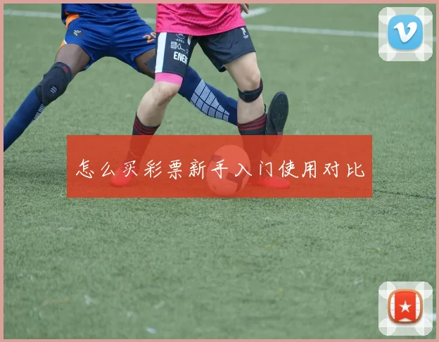 怎么买彩票新手入门使用对比