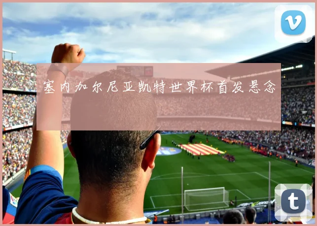塞内加尔尼亚凯特世界杯首发悬念