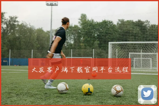 大发客户端下载官网平台流程
