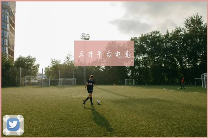 云开平台电竞
