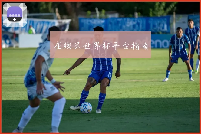 在线买世界杯平台指南