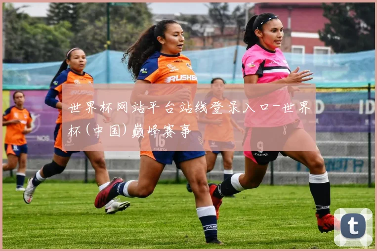 世界杯网站平台站线登录入口-世界杯(中国)巅峰赛事