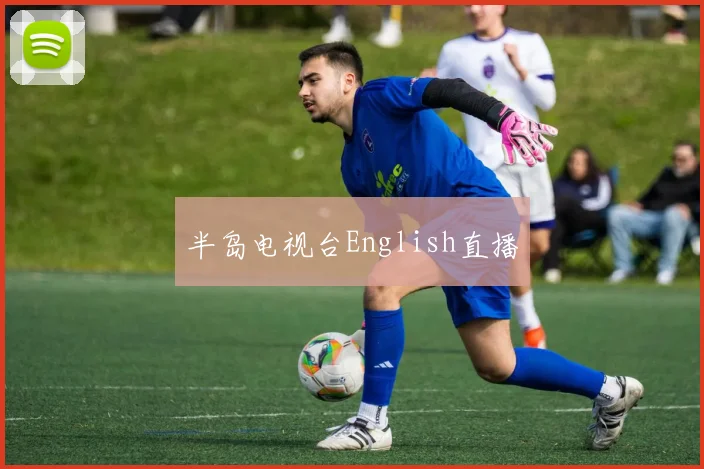 半岛电视台English直播