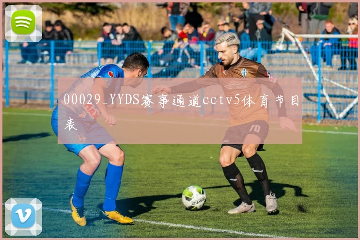 00029_YYDS赛事通道cctv5体育节目表