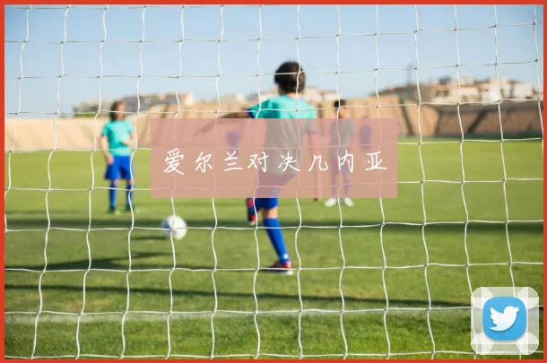 爱尔兰对决几内亚