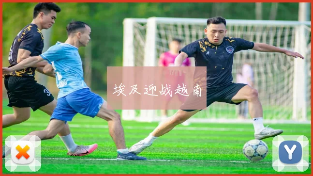 埃及迎战越南