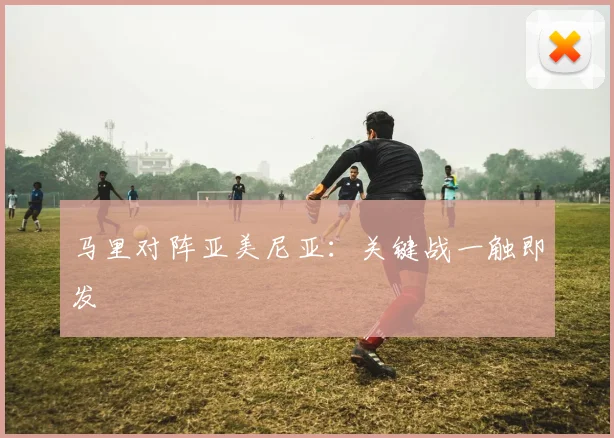 马里对阵亚美尼亚：关键战一触即发