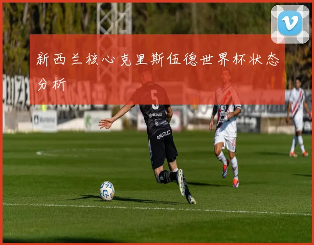 新西兰核心克里斯伍德世界杯状态分析