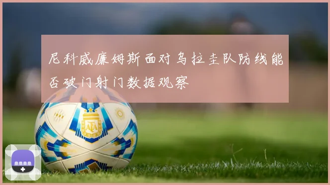 尼科威廉姆斯面对乌拉圭队防线能否破门射门数据观察
