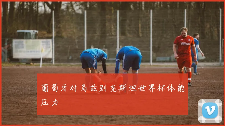 葡萄牙对乌兹别克斯坦世界杯体能压力