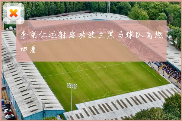 李刚仁远射建功波兰黑马球队高燃回看