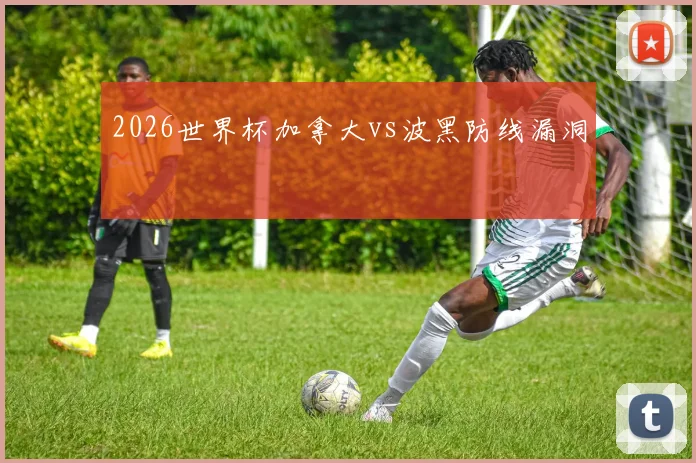 2026世界杯加拿大vs波黑防线漏洞