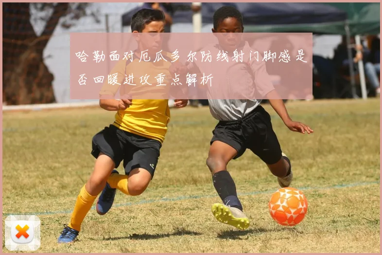 哈勒面对厄瓜多尔防线射门脚感是否回暖进攻重点解析