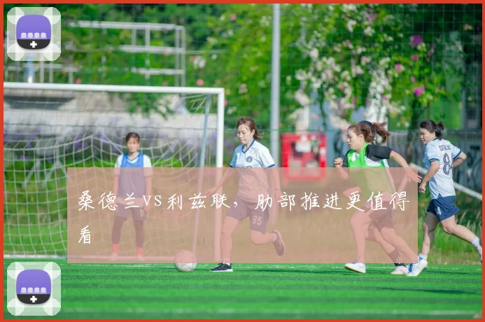 桑德兰vs利兹联，肋部推进更值得看